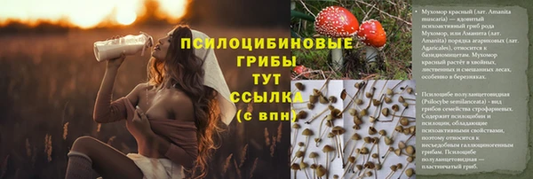 метадон Алексин