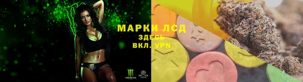 тгк Алзамай