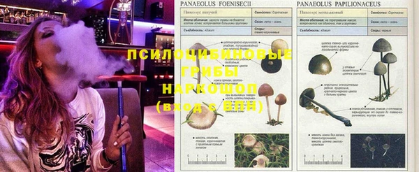 бутик Алексеевка