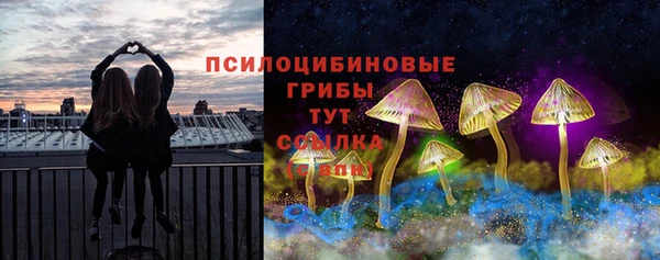 тгк Алзамай