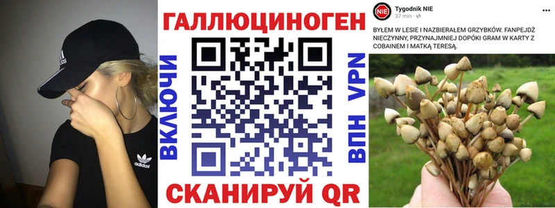 Псилоцибиновые грибы мухоморы  Моздок 
