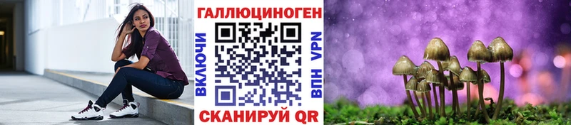 Псилоцибиновые грибы GOLDEN TEACHER Моздок