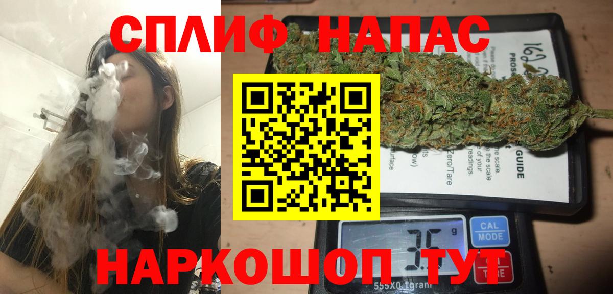 Моздок  Конопля ГИДРОПОН  Вход с VPN  Марихуана конопля 